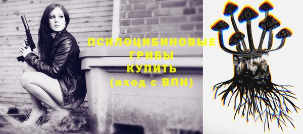 mix Бородино