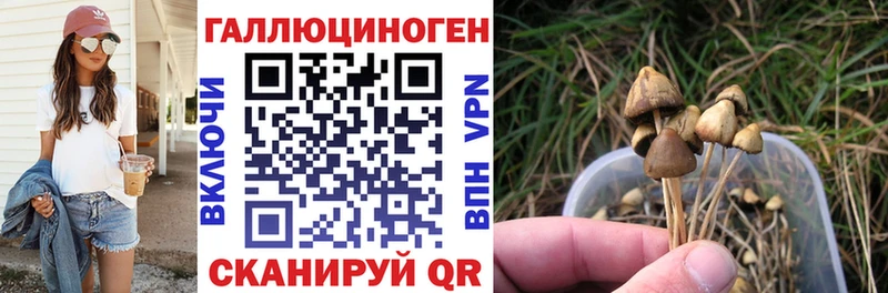 Галлюциногенные грибы Magic Shrooms Нижневартовск
